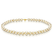 Ожерелье из золотого круглого морского Австралийского жемчуга 8-10,8 мм. Качество высокое АА+ Ожерелье из золотого круглого морского Австралийского жемчуга 8-10,8 мм. Качество высокое АА+