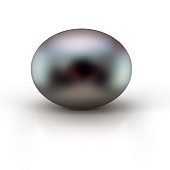 Жемчужина "пуговица" черная пресноводная 10,5-11 мм. Класс высокий Жемчужина "пуговица" черная пресноводная 10,5-11 мм. Класс высокий