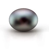 Жемчужина "пуговица" черная пресноводная 10,5-11 мм. Класс высокий